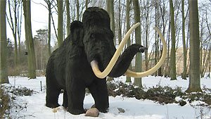 Besuch im Rostocker Zoo Besuch im Rostocker Zoo